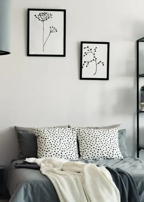 Bravo Builders Ltd - Painting & Decorating (6)